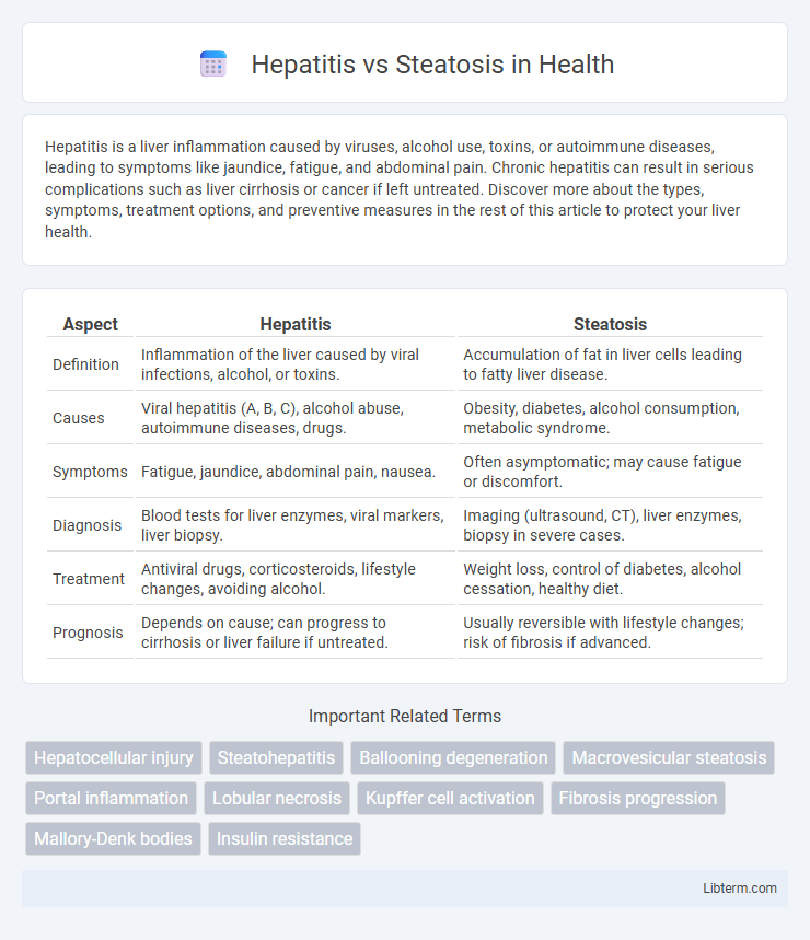 Steatosis vs Hepatitis in Health - What is The Difference?