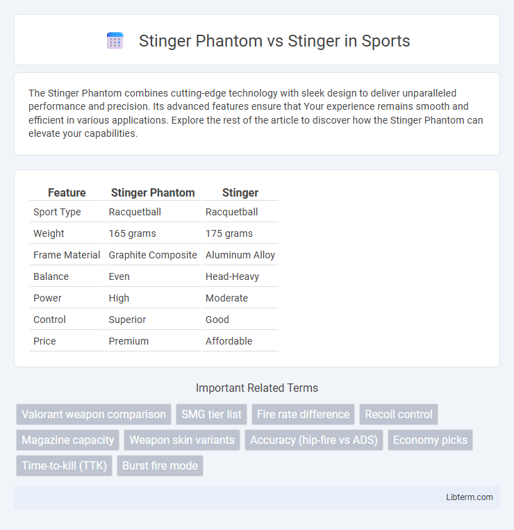 Stinger vs Stinger Phantom in Sports - What is The Difference?