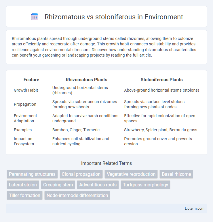 stoloniferous vs Rhizomatous in Environment - What is The Difference?