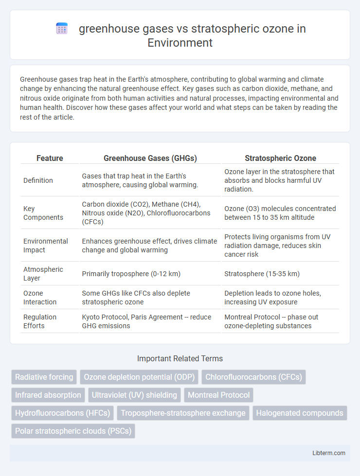 stratospheric ozone vs greenhouse gases in Environment - What is The Difference?