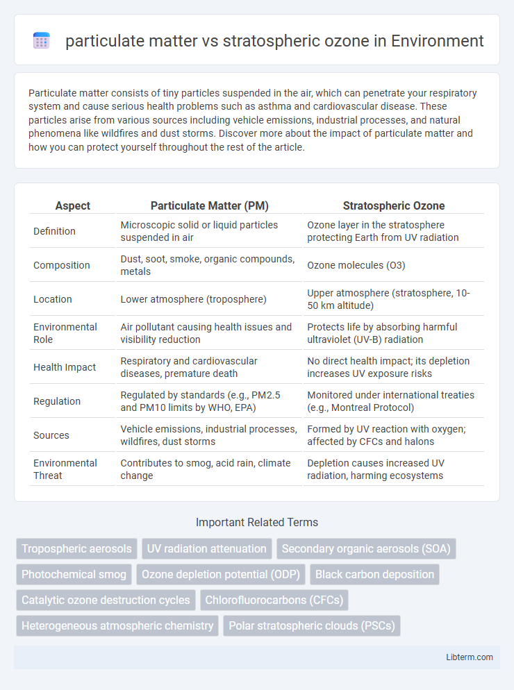 stratospheric ozone vs particulate matter in Environment - What is The Difference?