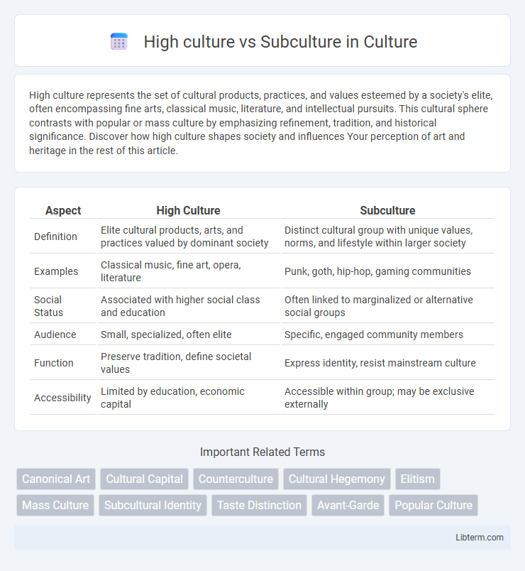 Subculture vs High culture in Culture - What is The Difference?