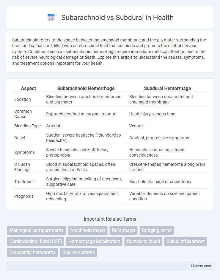 Subdural vs Subarachnoid in Health - What is The Difference?