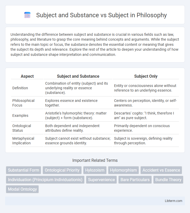 Subject vs Subject and Substance in Philosophy - What is The Difference?