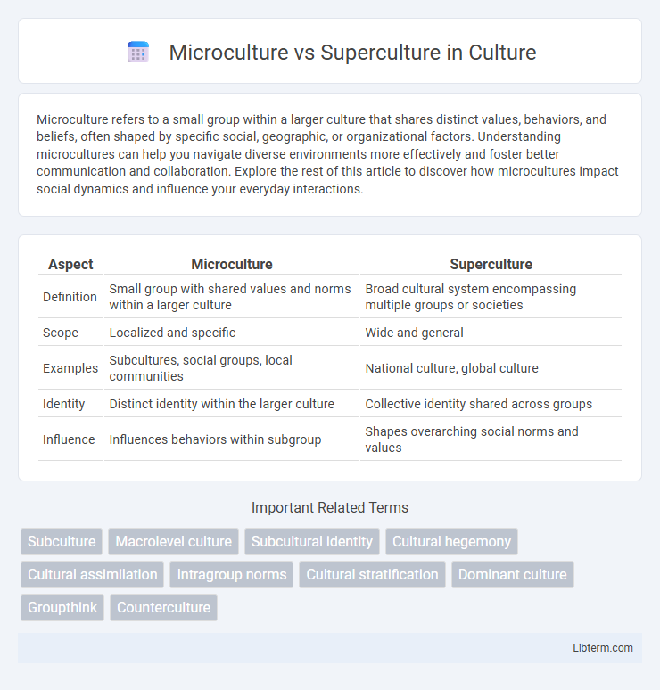 Superculture vs Microculture in Culture - What is The Difference?