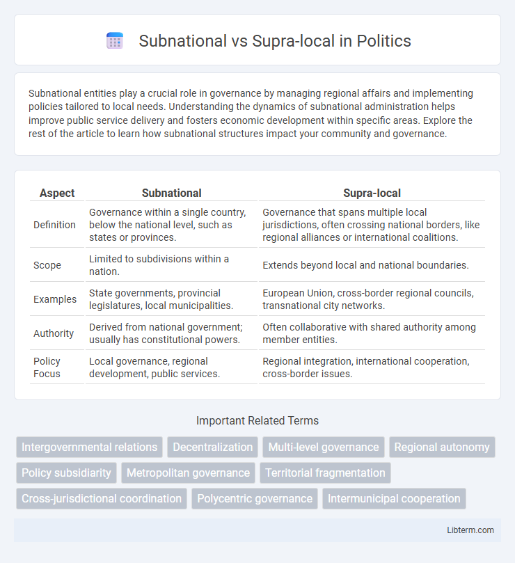 Supra-local vs Subnational in Politics - What is The Difference?