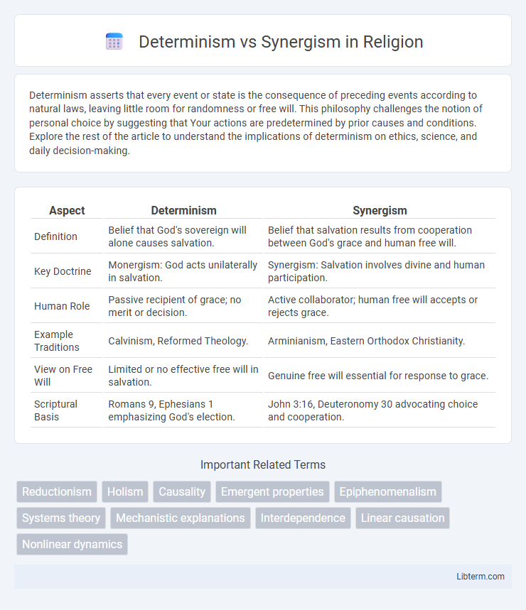 Synergism vs Determinism in Religion - What is The Difference?