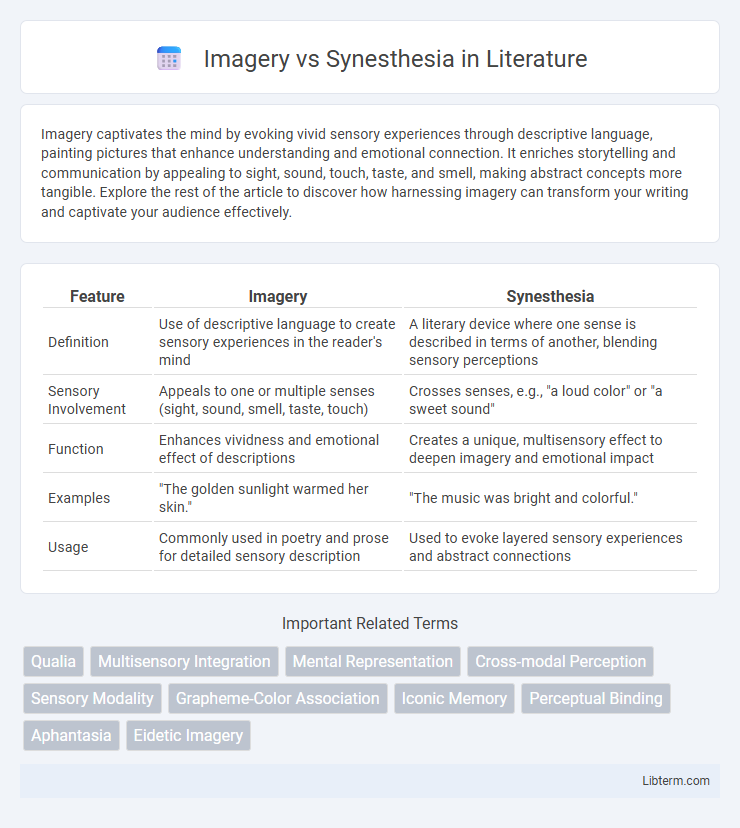Synesthesia vs Imagery in Literature - What is The Difference?
