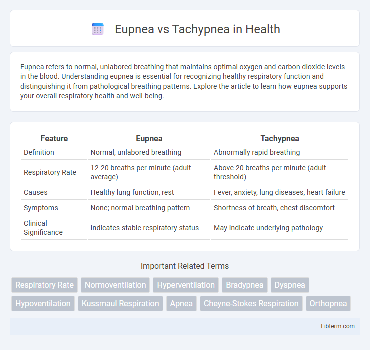 Tachypnea vs Eupnea in Health - What is The Difference?