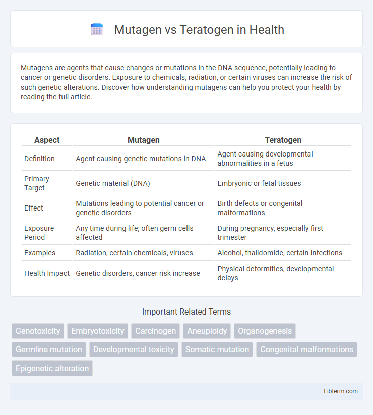 Teratogen vs Mutagen in Health - What is The Difference?