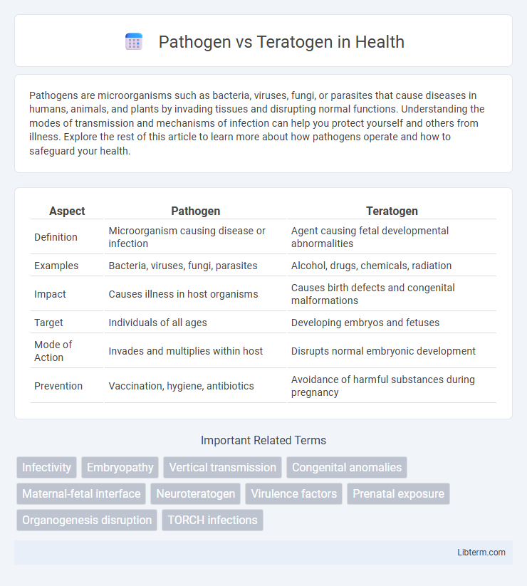 Teratogen vs Pathogen in Health - What is The Difference?