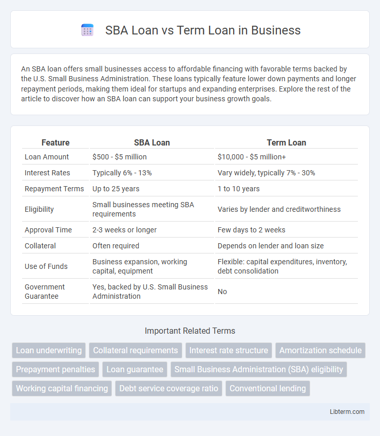 Term Loan vs SBA Loan in Business - What is The Difference?