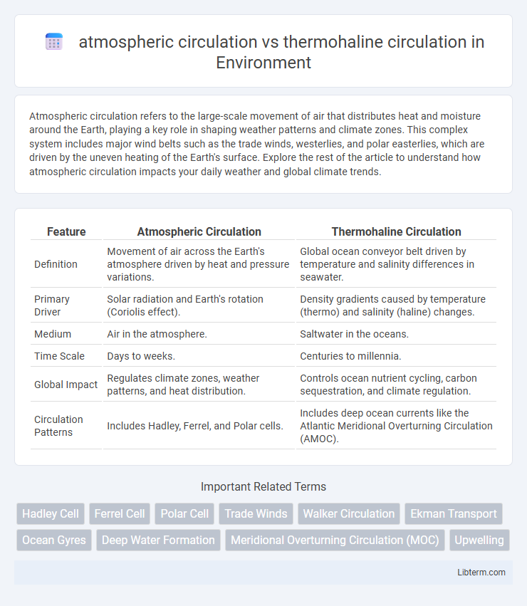 thermohaline circulation vs atmospheric circulation in Environment - What is The Difference?