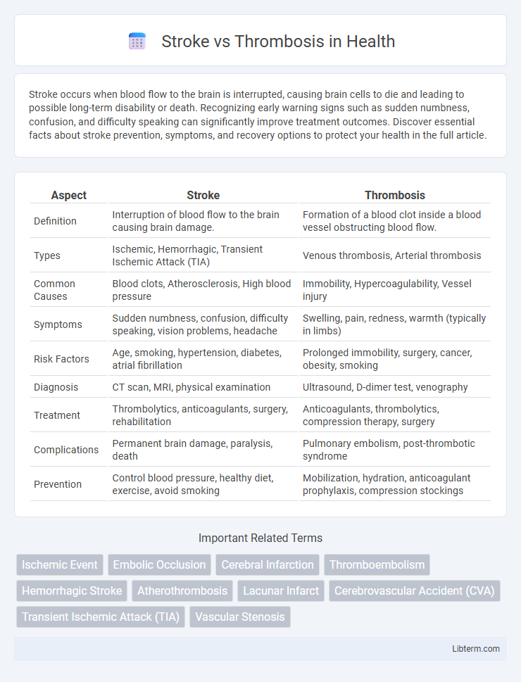 Thrombosis vs Stroke in Health - What is The Difference?