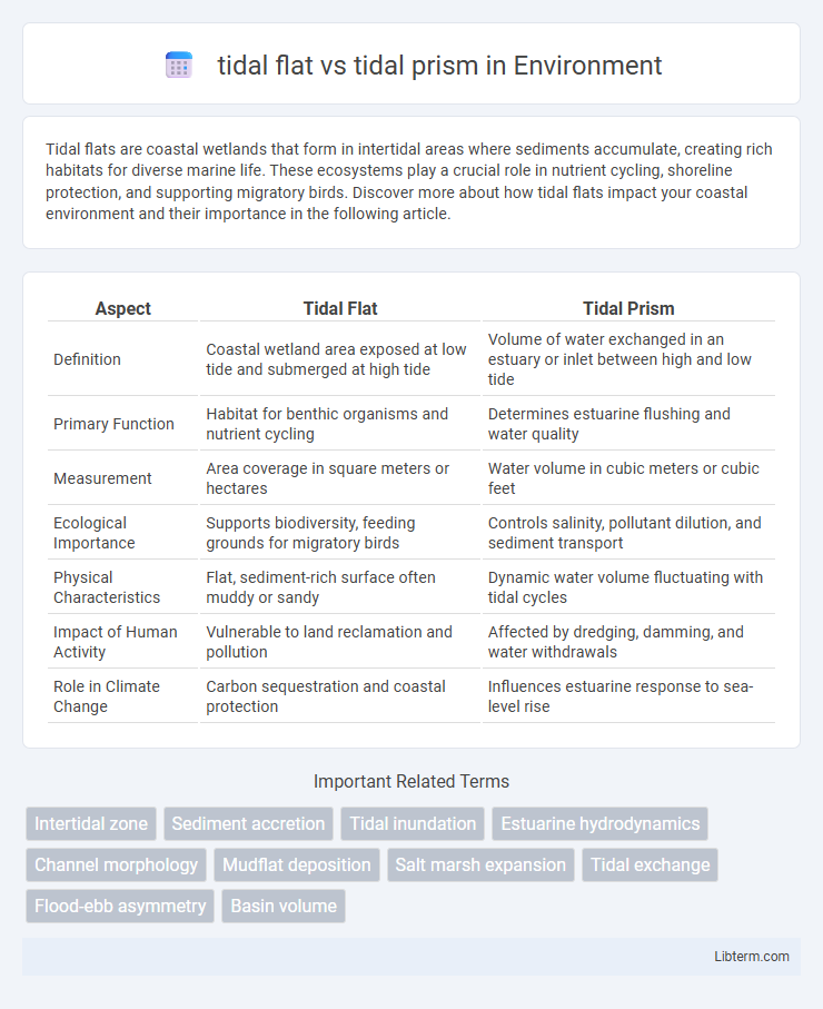 tidal prism vs tidal flat in Environment - What is The Difference?