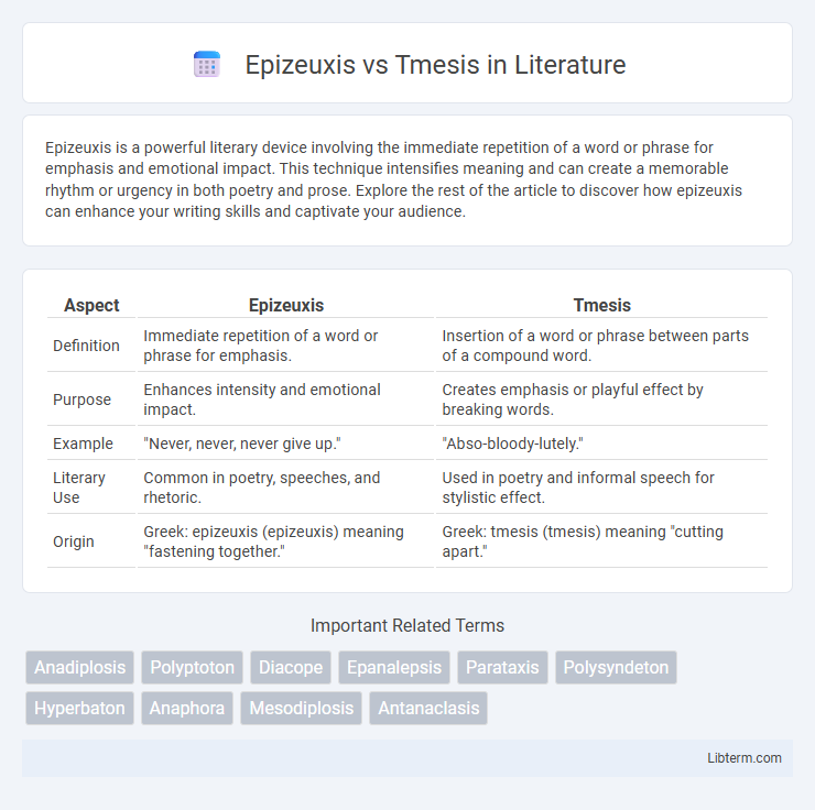 Tmesis vs Epizeuxis in Literature - What is The Difference?