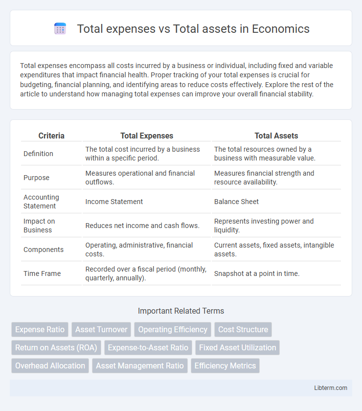 Total assets vs Total expenses in Economics - What is The Difference?