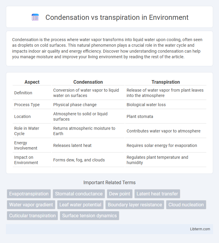 transpiration vs Condensation in Environment - What is The Difference?
