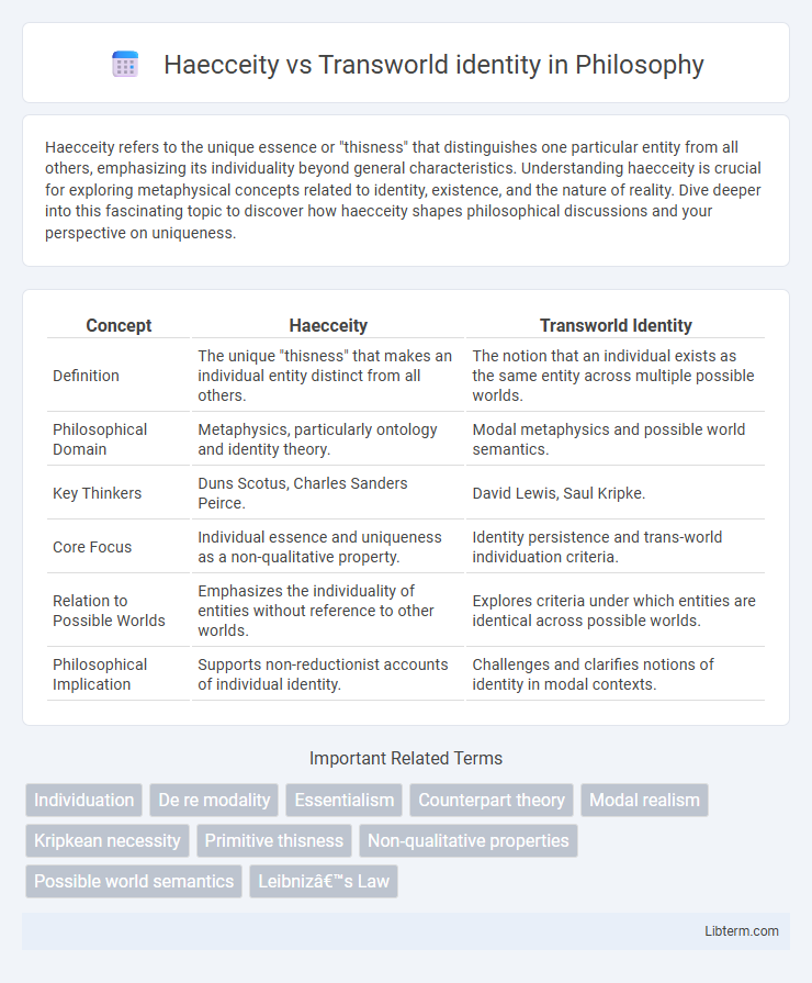 Transworld identity vs Haecceity in Philosophy - What is The Difference?
