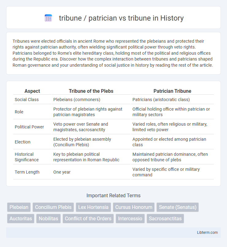 tribune vs tribune / patrician in History - What is The Difference?