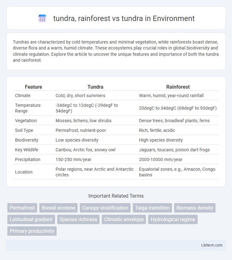 tundra vs tundra, rainforest in Environment - What is The Difference?