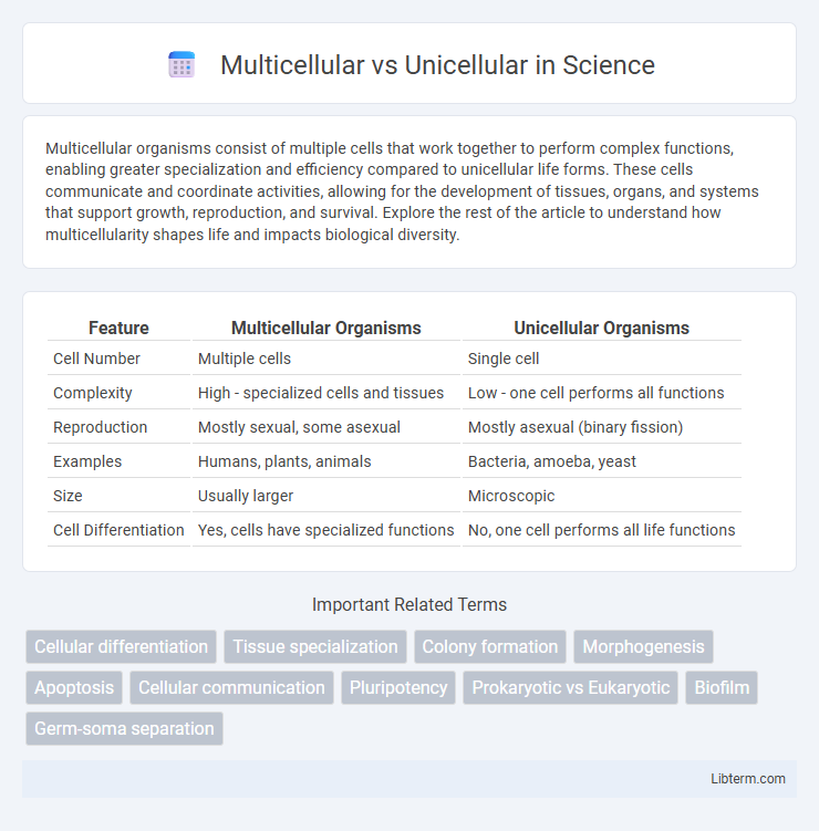 Unicellular vs Multicellular in Science - What is The Difference?