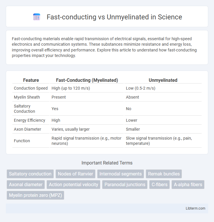Unmyelinated vs Fast-conducting in Science - What is The Difference?