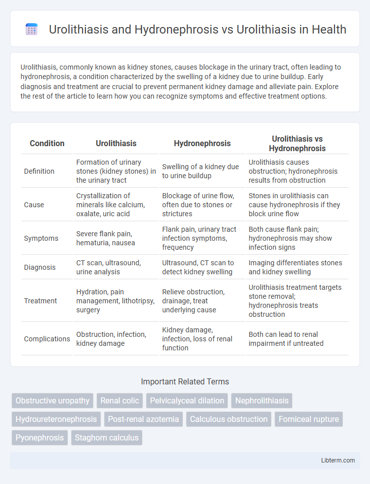 Urolithiasis vs Urolithiasis and Hydronephrosis in Health - What is The Difference?