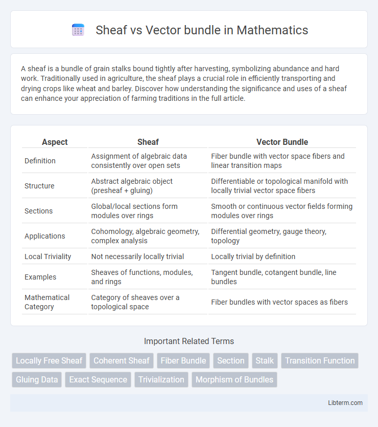 Vector bundle vs Sheaf in Mathematics - What is The Difference?