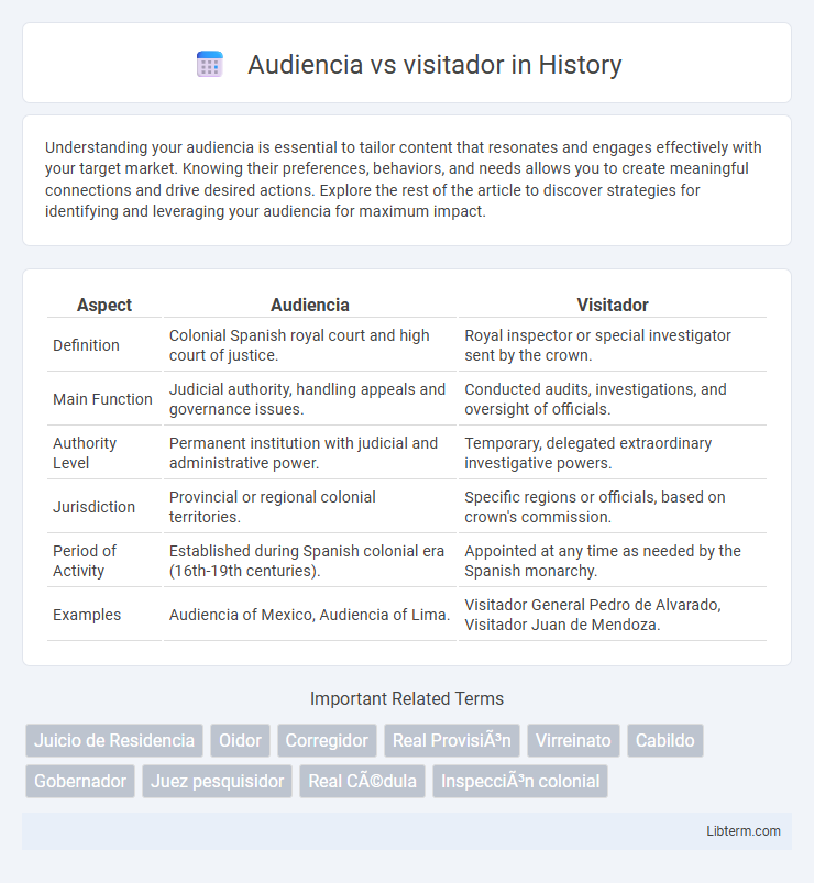 visitador vs Audiencia in History - What is The Difference?