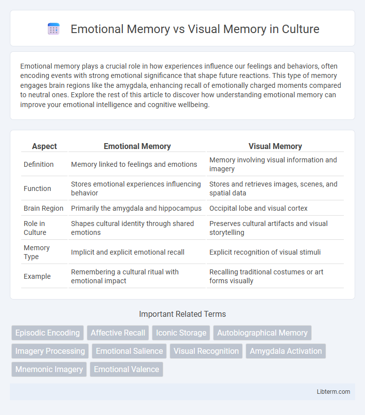 Visual Memory vs Emotional Memory in Culture - What is The Difference?