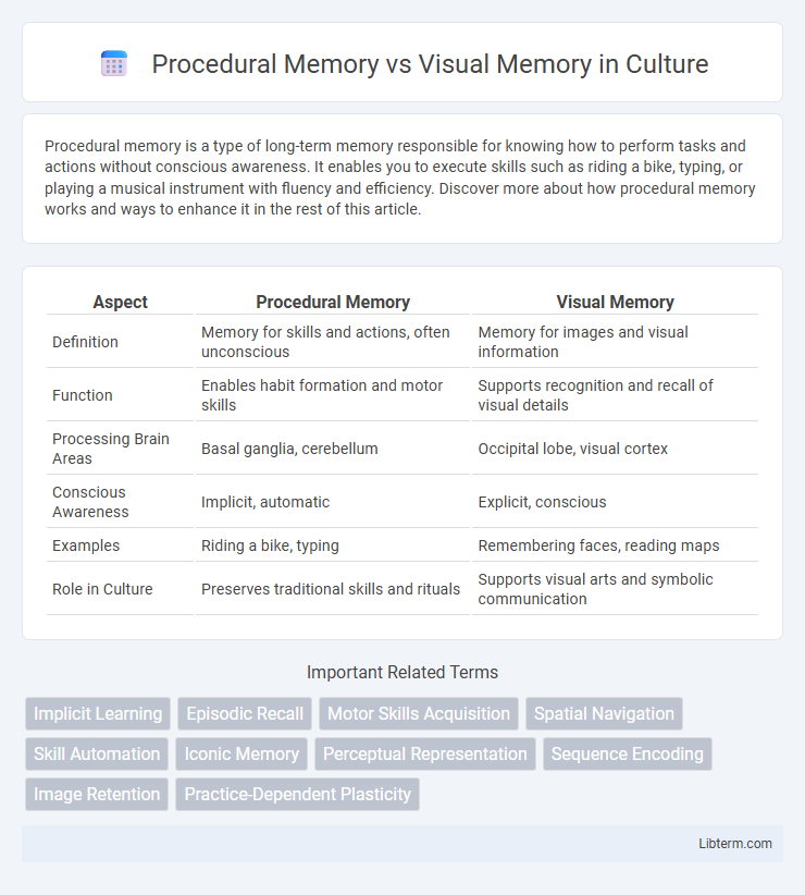 Visual Memory vs Procedural Memory in Culture - What is The Difference?