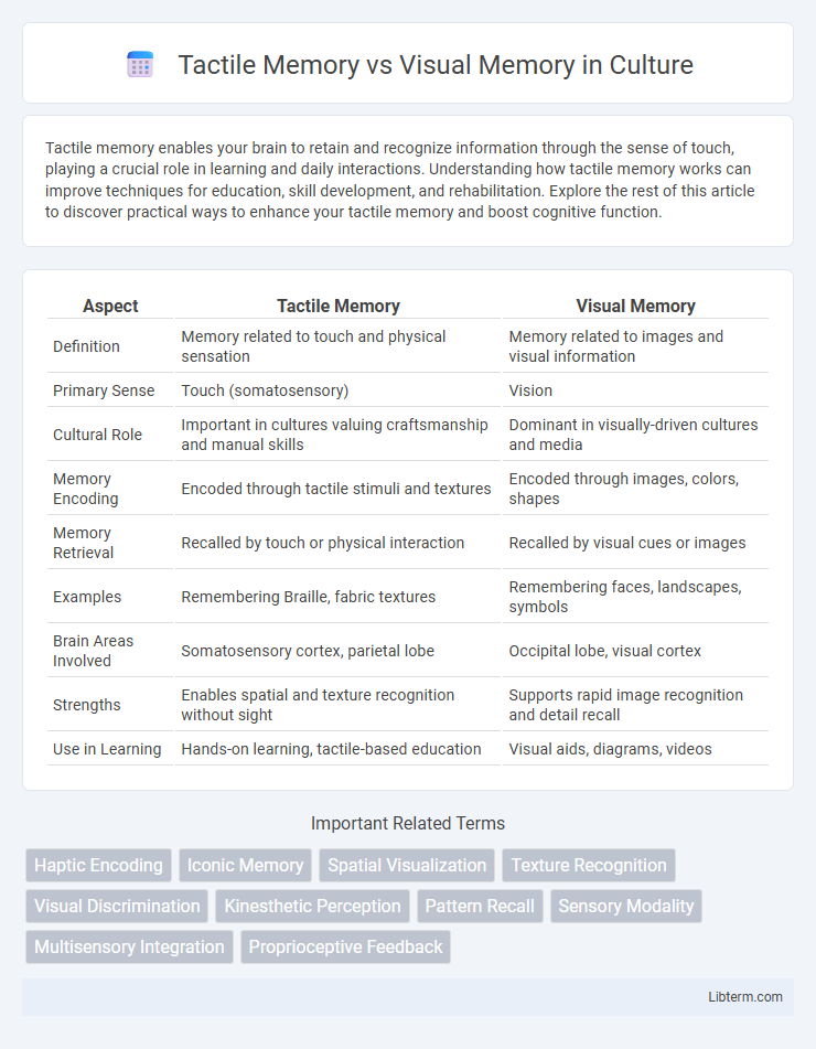 Visual Memory vs Tactile Memory in Culture - What is The Difference?