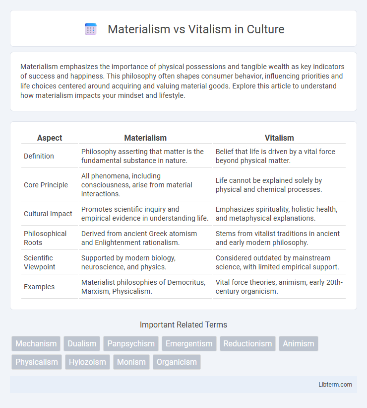 Vitalism vs Materialism in Culture - What is The Difference?
