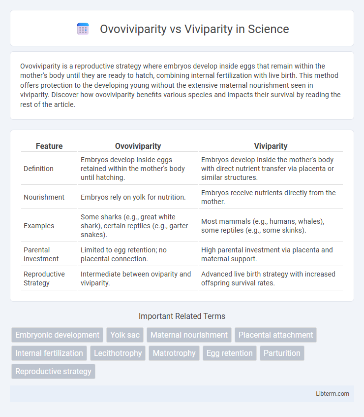Viviparity vs Ovoviviparity in Science - What is The Difference?