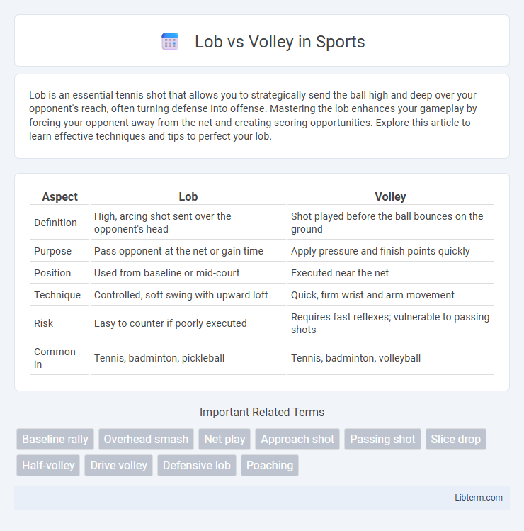Volley vs Lob in Sports - What is The Difference?