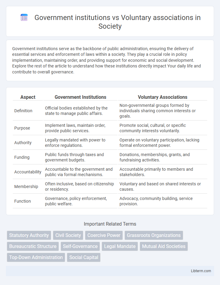 Voluntary associations vs Government institutions in Society - What is The Difference?