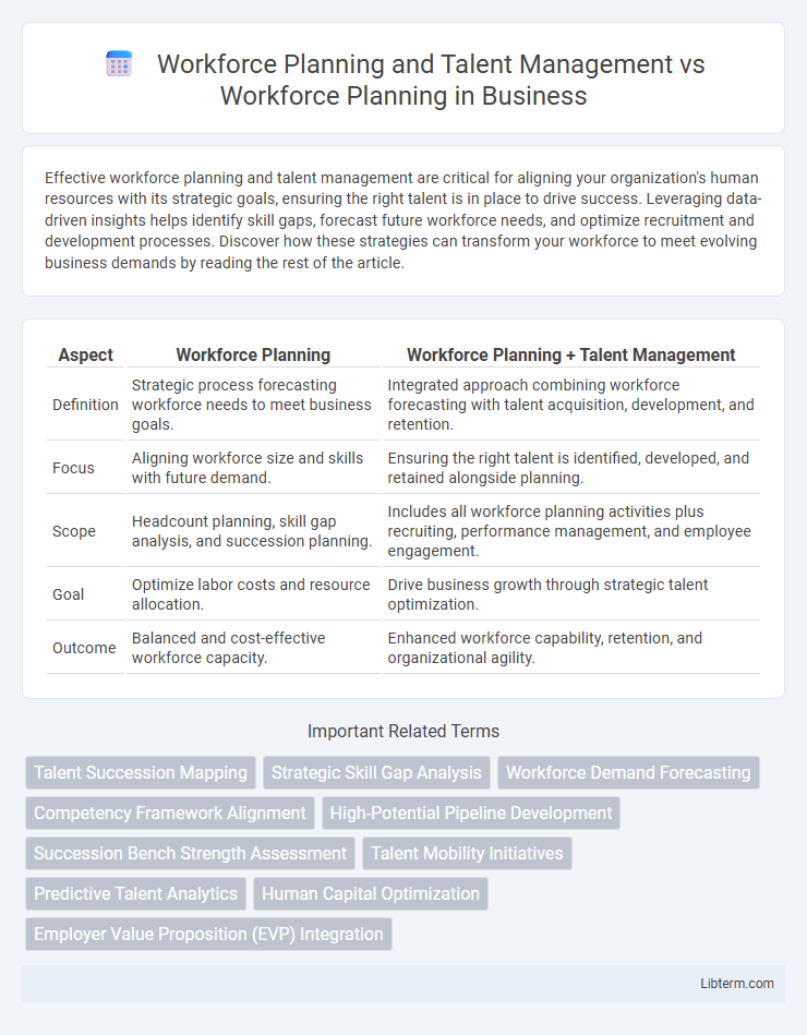 Workforce Planning vs Workforce Planning and Talent Management in Business - What is The Difference?