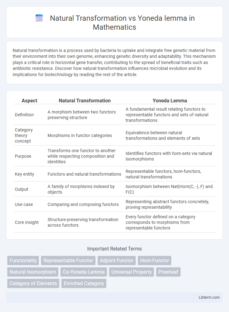 Yoneda lemma vs Natural Transformation in Mathematics - What is The Difference?