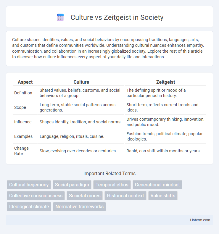 Zeitgeist vs Culture in Society - What is The Difference?