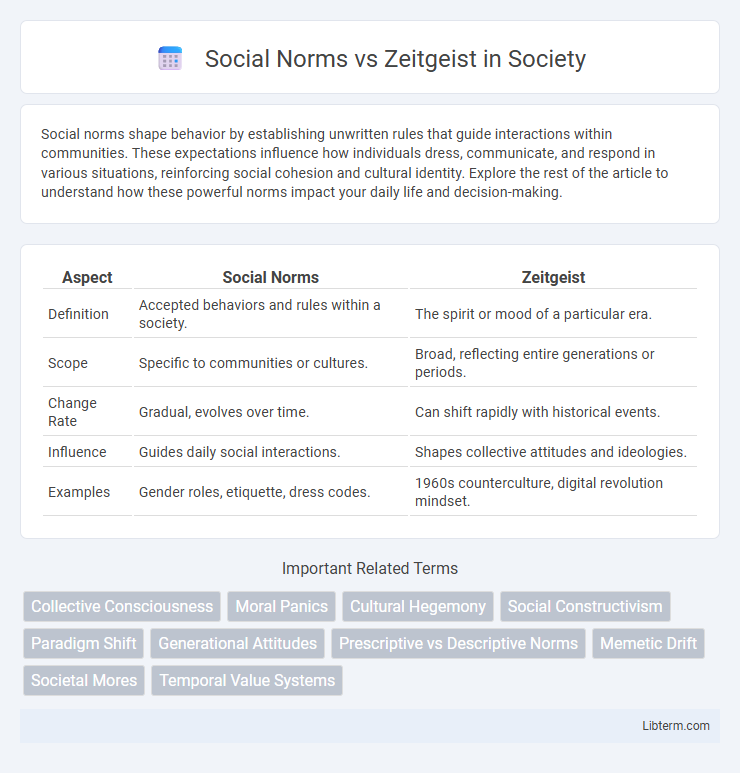 Zeitgeist vs Social Norms in Society - What is The Difference?