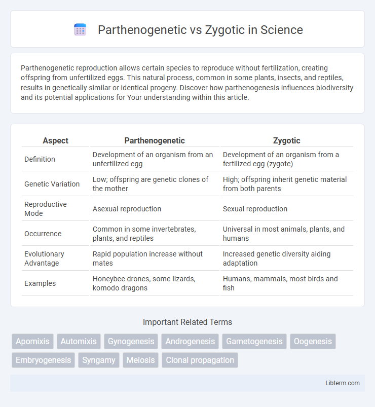 Zygotic vs Parthenogenetic in Science - What is The Difference?