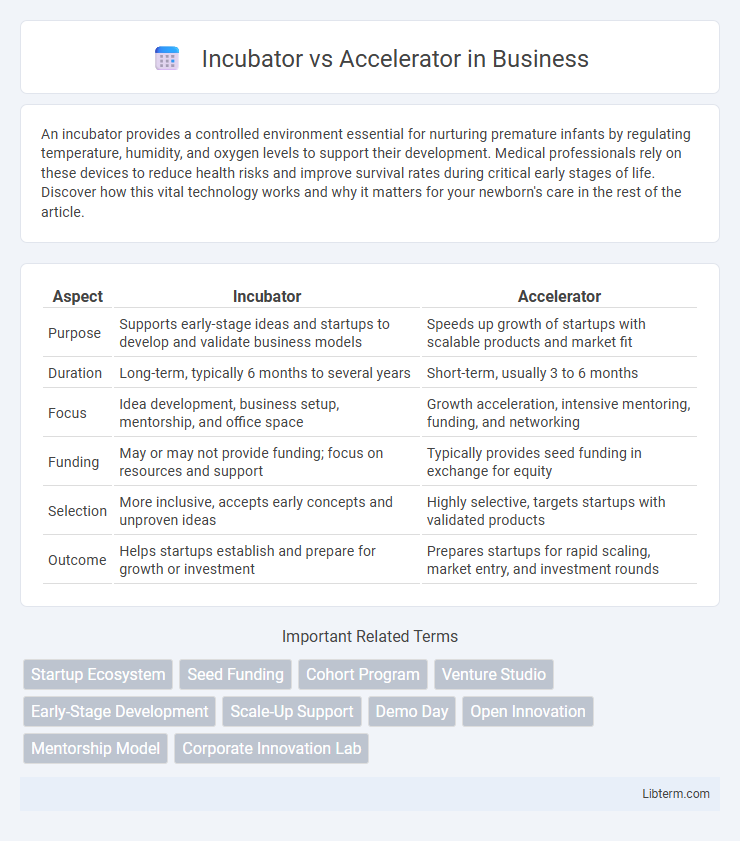 Accelerator vs Incubator in Business - What is The Difference?