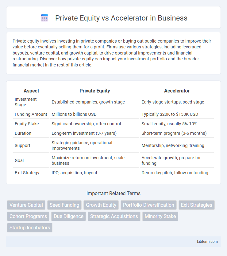Accelerator vs Private Equity in Business - What is The Difference?