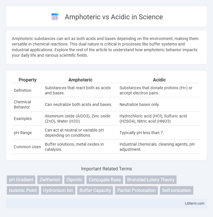 Acidic vs Amphoteric in Science - What is The Difference?