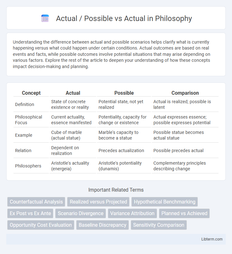Actual vs Actual / Possible in Philosophy - What is The Difference?