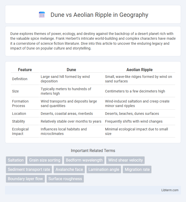 Aeolian Ripple vs Dune in Geography - What is The Difference?