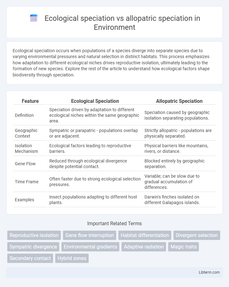 allopatric speciation vs Ecological speciation in Environment - What is The Difference?