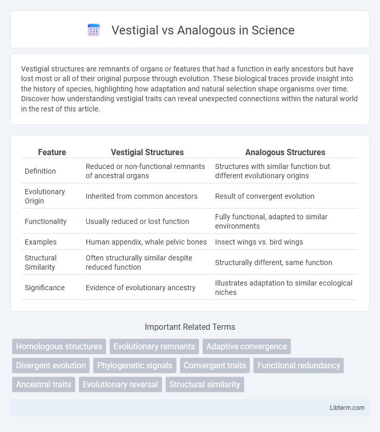 Analogous vs Vestigial in Science - What is The Difference?