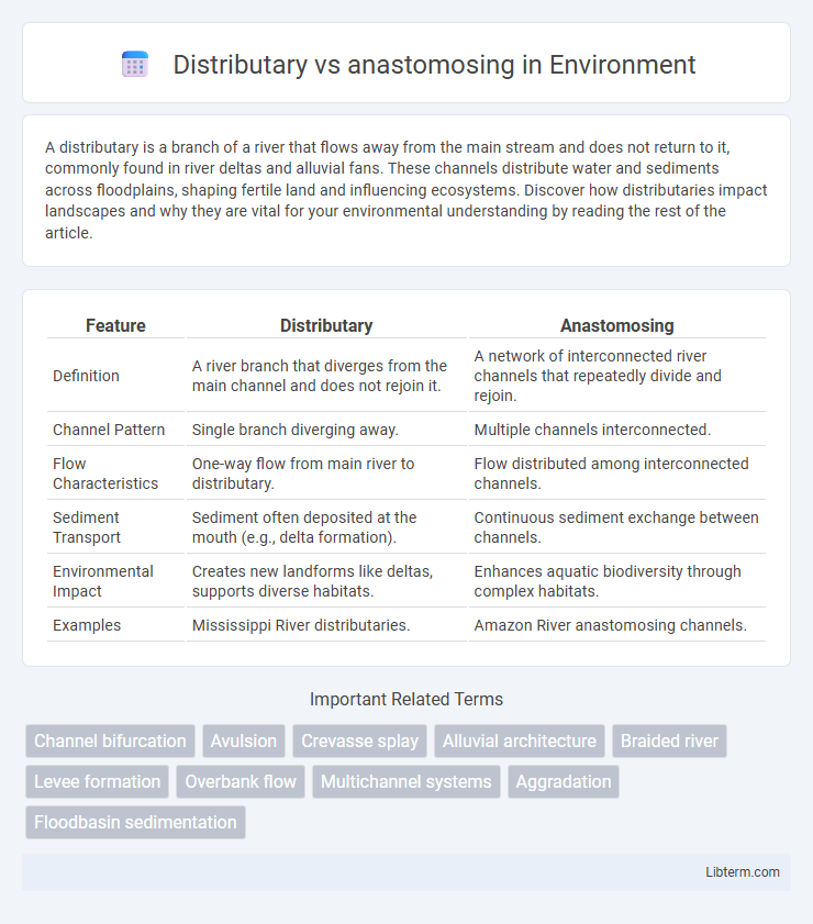 anastomosing vs Distributary in Environment - What is The Difference?